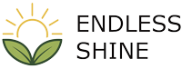 Endless Shine LP